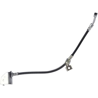 BLUE PRINT ADBP530029 Flexibele remslang - Remslang BLUE PRINT ADBP530029 Flexibele remslang - Remslang