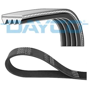 Dayco Poly-V V-rib belt voor BMW X3 en Fiat Stilo Dayco Poly-V V-rib belt voor BMW X3 en Fiat Stilo