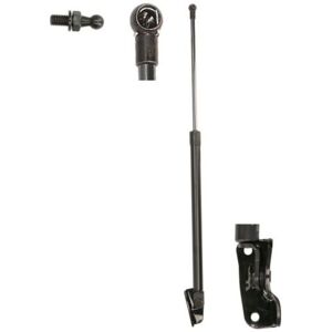 Lesjöfors 8188307 Gasveer - Achterklep rechts Lesjöfors 8188307 Gasveer - Achterklep rechts