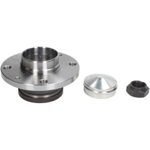 BTA H2F014BTA Achteras wiellager set BTA H2F014BTA Achteras wiellager set