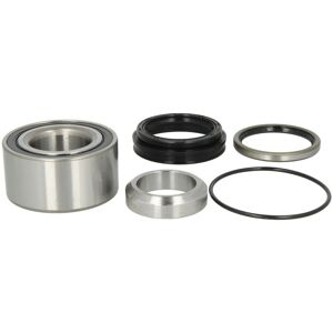 BTA H22095BTA Achteras Wiellager Set - Wiellager BTA H22095BTA Achteras Wiellager Set - Wiellager