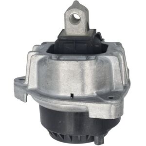 BMW TEM255 Motor OEM-onderdeel BMW TEM255 Motor OEM-onderdeel