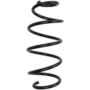 KYB RA4121 Veersuspensie - Vooras KYB RA4121 Veersuspensie - Vooras