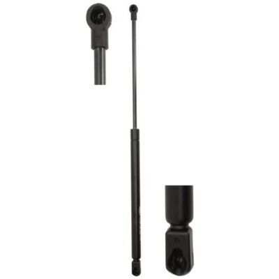 Magneti Marelli gasveer - 430719026000 - Voor VW, Audi Magneti Marelli gasveer - 430719026000 - Voor VW, Audi