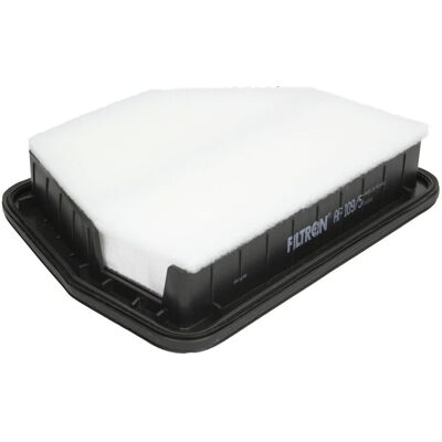 Filtron Luchtfilter AP 109/5 - Luchtfilter Filtron Luchtfilter AP 109/5 - Luchtfilter