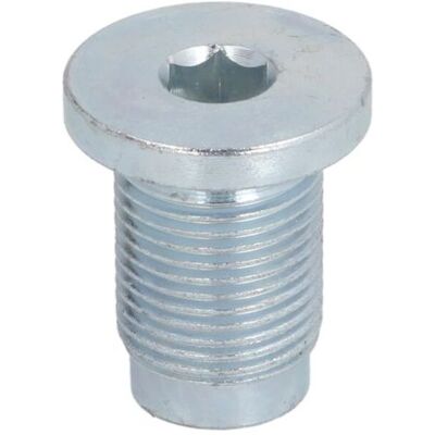 ELRING M18x1,5 Afsluitdop inbus - Drain Plug ELRING M18x1,5 Afsluitdop inbus - Drain Plug