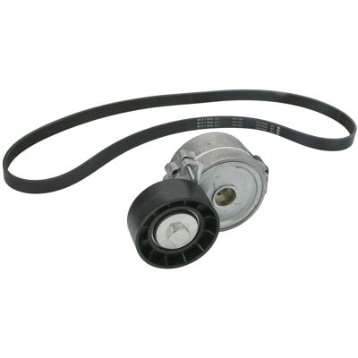 Schaeffler Ina V-snaar set (met rollen) INA 529 0315 10 Schaeffler Ina V-snaar set (met rollen) INA 529 0315 10