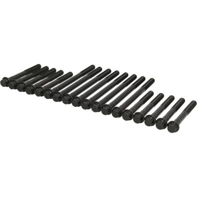REINZ 14-32388-01 Cilinderkopbouten Set - voor Toyota Land Cruiser Prado 120, 90 & Hilux REINZ 14-32388-01 Cilinderkopbouten Set - voor Toyota Land Cruiser Prado 120, 90 & Hilux