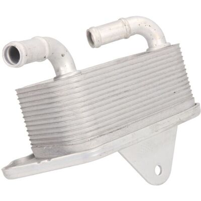 THERMOTEC D4A008TT Aluminium Oliekoker - Hand/automaat THERMOTEC D4A008TT Aluminium Oliekoker - Hand/automaat