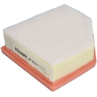 FILTRON AP 124/7 Luchtfilter - Luchtfilter FILTRON AP 124/7 Luchtfilter - Luchtfilter