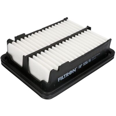 Filtron AP 106/6 - Luchtfilter Filtron AP 106/6 - Luchtfilter
