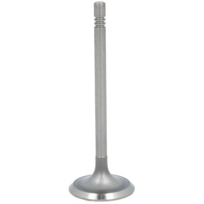 PARADOWSCY R6452 Klep - Zitvlakhoek 45° - 34,5mm Klepdiameter PARADOWSCY R6452 Klep - Zitvlakhoek 45° - 34,5mm Klepdiameter