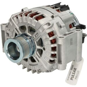 Driefasige generator PULSAR ROTATING ELECTRICS PSR11123 Driefasige generator PULSAR ROTATING ELECTRICS PSR11123