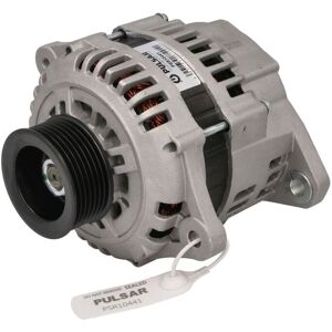 Driefasige generator PULSAR ROTATING ELECTRICS PSR10441 Driefasige generator PULSAR ROTATING ELECTRICS PSR10441