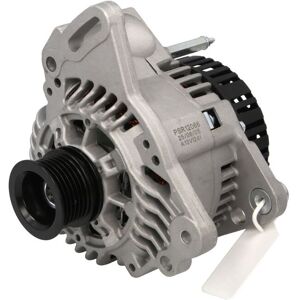 Driefasige generator PULSAR ROTATING ELECTRICS PSR12066 Driefasige generator PULSAR ROTATING ELECTRICS PSR12066