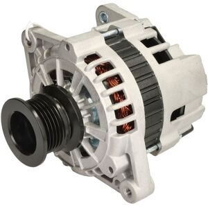 Driefasige generator PULSAR ROTATING ELECTRICS PSR10653 Driefasige generator PULSAR ROTATING ELECTRICS PSR10653