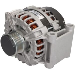 Driefasige generator PULSAR ROTATING ELECTRICS PSR10849 Driefasige generator PULSAR ROTATING ELECTRICS PSR10849