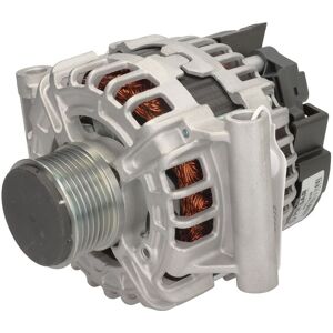 Driefasige generator PULSAR ROTATING ELECTRICS PSR10539 Driefasige generator PULSAR ROTATING ELECTRICS PSR10539