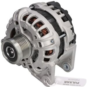 Driefasige generator PULSAR ROTATING ELECTRICS PSR10579 Driefasige generator PULSAR ROTATING ELECTRICS PSR10579