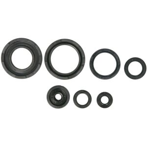 ATHENA P400485400253 Motorpakking set - Motorreparatie ATHENA P400485400253 Motorpakking set - Motorreparatie