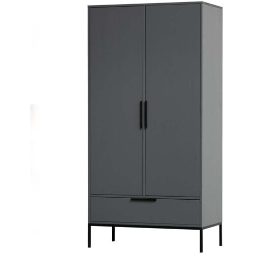 Adam 2-deurs Kast Grenen Steel Grey [fsc]   Grijs   WOOOD   Grenen   53 x  100 x 200 cm