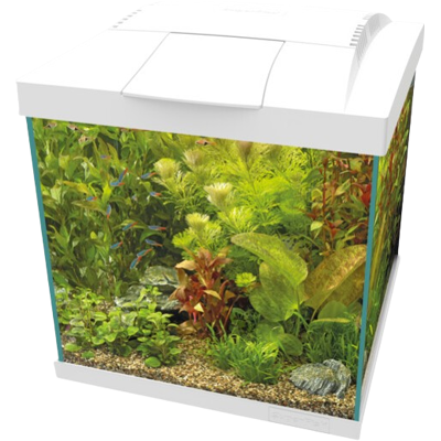 Superfish Start Qube 30 kit wit Superfish Start Qube 30 kit wit