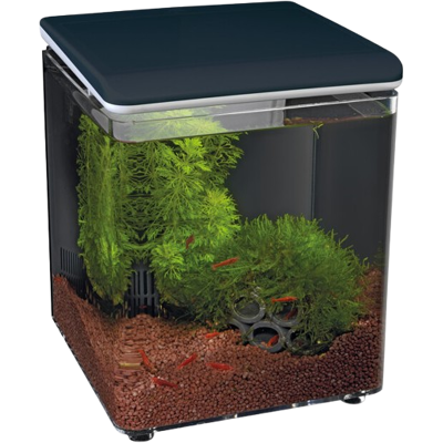 SuperFish SF HOME 8 Aquarium - Zwart - 8L SuperFish SF HOME 8 Aquarium - Zwart - 8L