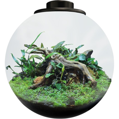 BioArt Model 225 Plantbak - Slimme planter met LED & koeling BioArt Model 225 Plantbak - Slimme planter met LED & koeling