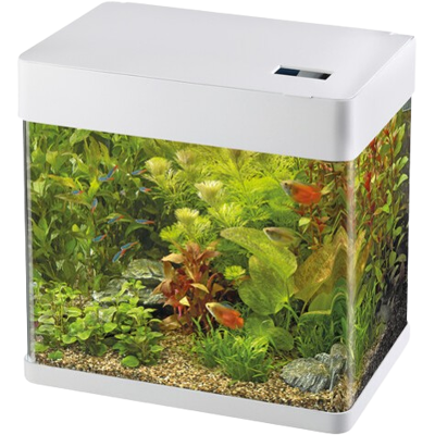 Superfish - LED Panorama 35 - Wit - 30L - Aquarium Superfish - LED Panorama 35 - Wit - 30L - Aquarium