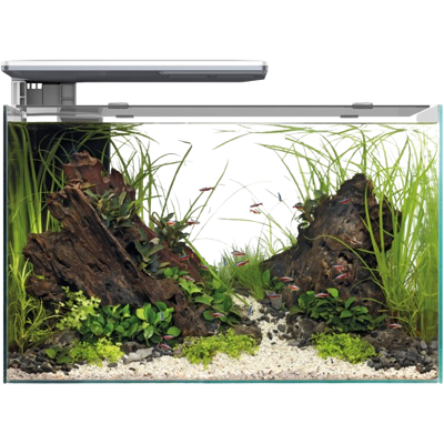 Superfish Quadro 70 Pro - Aquarium - Wit Superfish Quadro 70 Pro - Aquarium - Wit