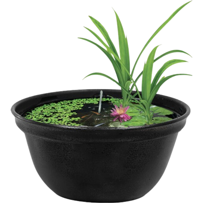 Superfish Medaka Bowl 420 Superfish Medaka Bowl 420