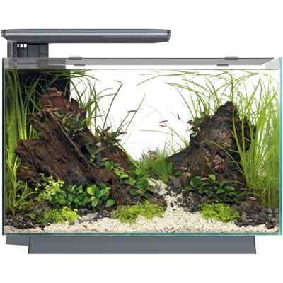 Superfish Quadro 70 Pro - Aquarium - Zwart Superfish Quadro 70 Pro - Aquarium - Zwart
