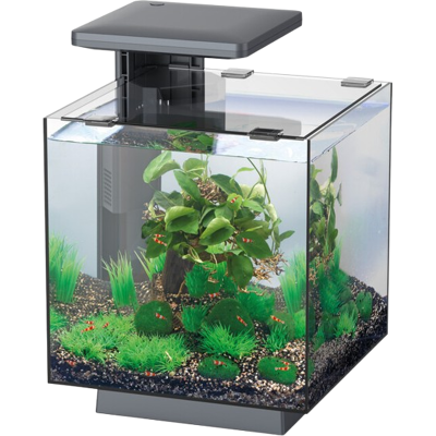 Superfish QubiQ 15 LED Zwart Superfish QubiQ 15 LED Zwart