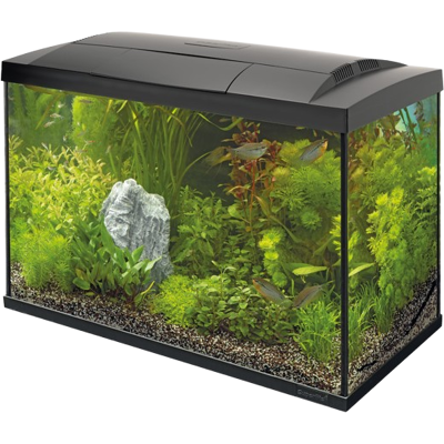 Superfish Start 100 Tropisch Aquariumset - Aquarium, Zwart Superfish Start 100 Tropisch Aquariumset - Aquarium, Zwart