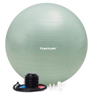 Tunturi Anti Burst Fitness bal met Pomp Yoga bal 75 cm 220 kg gebruikersgewicht Incl Trainingsapp Mint Tunturi Anti Burst Fitness bal met Pomp Yoga bal 75 cm 220 kg gebruikersgewicht Incl Trainingsapp Mint