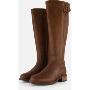 Cellini Hoge laarzen bruin Leer Bruin 36,37,38,41,42,43 female Cellini Hoge laarzen bruin Leer Bruin 36,37,38,41,42,43 female