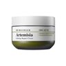 BRING GREEN - Artemisia Calming Repair Cream - 75ml