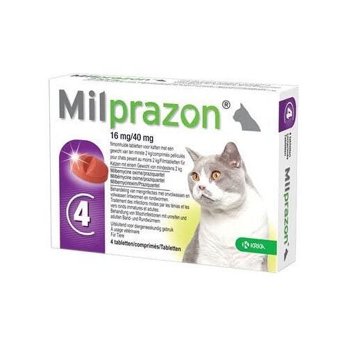 Krka milprazon ontwormingstabletten kat (>2 KG 16 MG/40 MG 4 TBL)