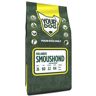 Yourdog hollandse smoushond volwassen (3 KG)