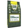 Yourdog oostenrijkse gladharige brak pup (3 KG)