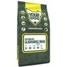 Yourdog oostenrijkse gladharige brak senior (3 KG)