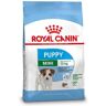 Royal canin puppy junior mini (2 KG)