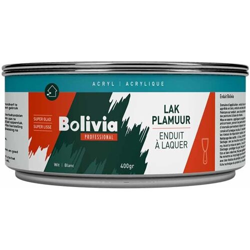 Bolivia Lakplamuur Acryl 800 Gram