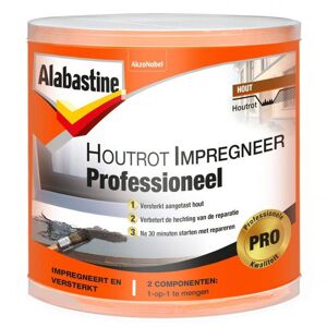 Alabastine Houtrot Impregneer Professioneel 120 Ml