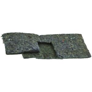 AEG filter, motor, spons 4055359741 AEG filter, motor, spons 4055359741