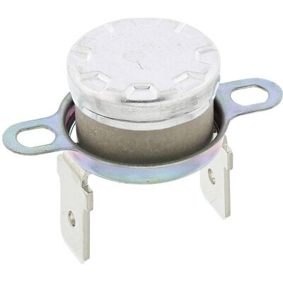 AEG thermische beveiliging 4055173258 AEG thermische beveiliging 4055173258