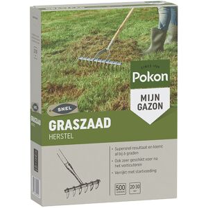 Pokon Graszaad Herstel 500g - Snelle groene graszaad voor 20-30m² Pokon Graszaad Herstel 500g - Snelle groene graszaad voor 20-30m²