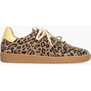 Dwrs label DWRS Poona Leopard Multicolor Bruin 37 female Dwrs label DWRS Poona Leopard Multicolor Bruin 37 female