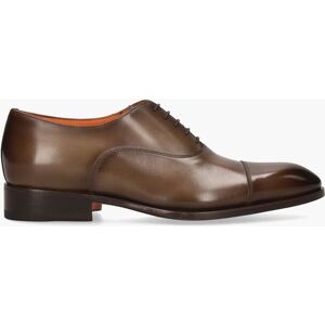 Santoni 12474 Bruin Bruin 40 male Santoni 12474 Bruin Bruin 40 male