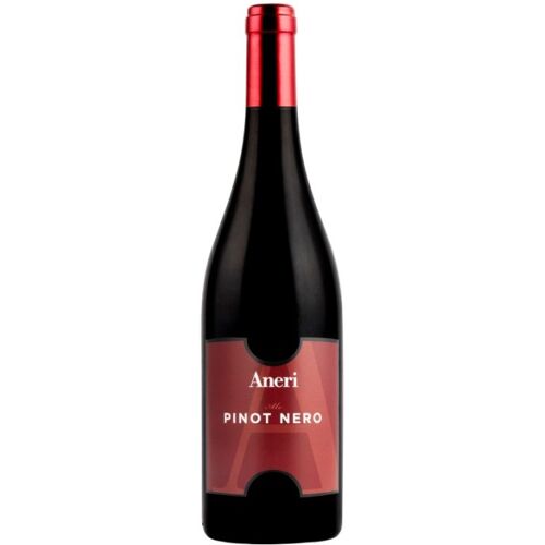 Pinot Nero Veneto IGT Ale 2018 - Aneri